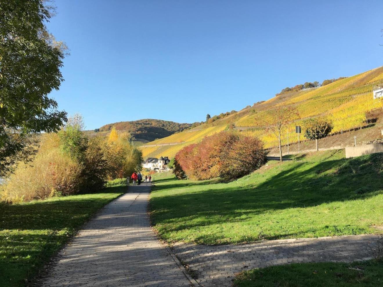 Ferienhaus Mosellage Appartement Zell Buitenkant foto